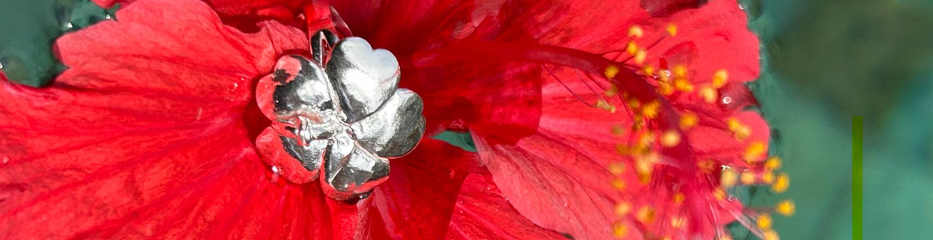 slider image slider_item_AKRXeL